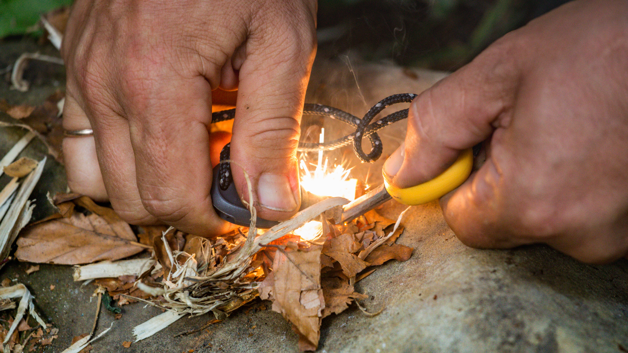 Survival Classes